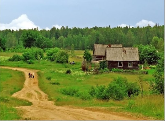 Під час нашої першої поїздки в село мене змусили доїти корову, а потім ще насварили за те, що я не вмію її доїти. Зараз дійшло до того, що мене засуджують і ненавидять майже всі родичі чоловіка