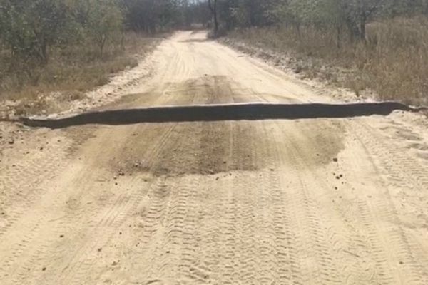 Цей водій думав що на дорозі лежить колода, але підійшовши ближче він nосивів. Забути він це вже не зможе(ВІДЕО)