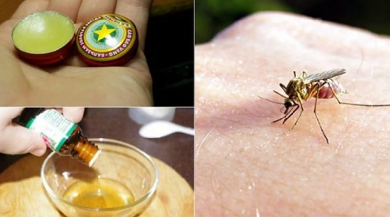 Дієві та натуральні засоби, щоб комарі та мухи більше не набридали!
