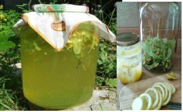  Липа, лимон і мед – виходить найсмачніший лимонад в світі. Влітку готую його щодня!