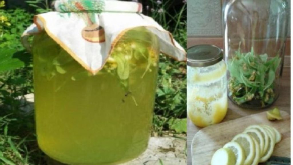 Липовий лимонад — втамує літню спеку,і насичує організм вітамінами!
