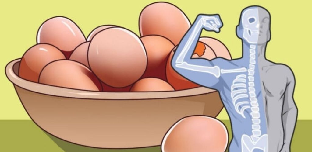 Ось чому вам потрібно їсти яйця кожного дня! 8 причин