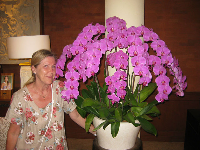 «Моя орхідея цвіте як божевільна» — ось як приготувати часникову суміш для рясного цвітіння орхідей