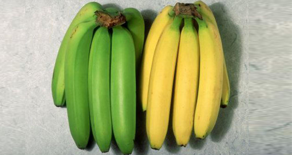 Жовті банани та зелені: які корисніші? Мало хто знає про це