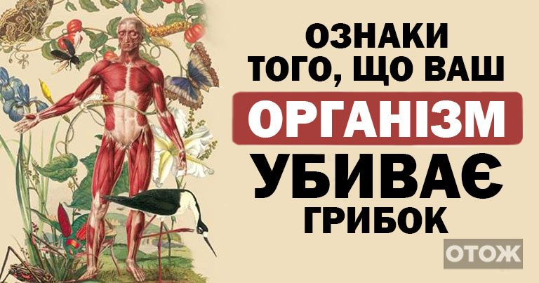 Якщо хочете, щоб Ваш організм був вільний від грибів, не давайте їм це!