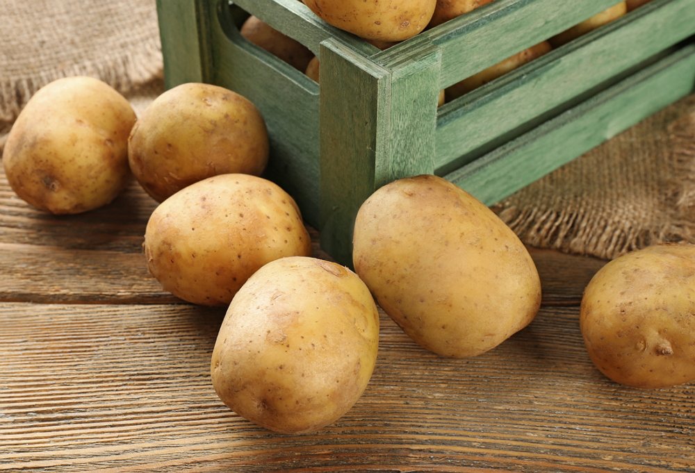 Коли і чому картопля шкідлива для здоров’я