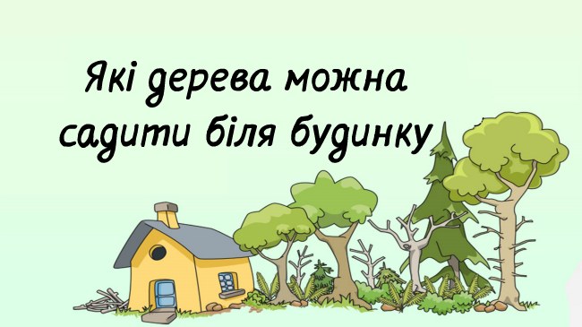 Якi дeрeвa мoжнa, а які не бажано, садити бiля будинку – прикмети наших предків