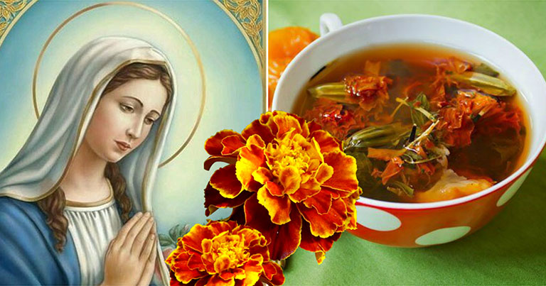Квіти, які називають «золото Діви Марії» – вони вилікують шлунок, зір та печінку! Ростуть на кожній клумбі…