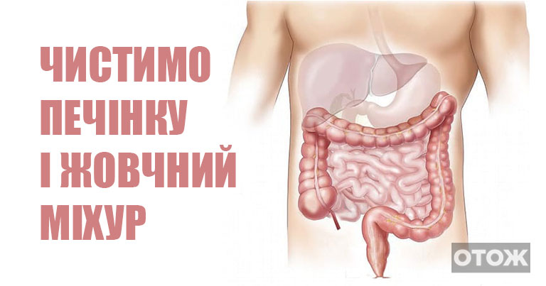 Профілактика: 5 порад для покращення роботи печінки та жовчного міхура. Час подбати про свій організм!