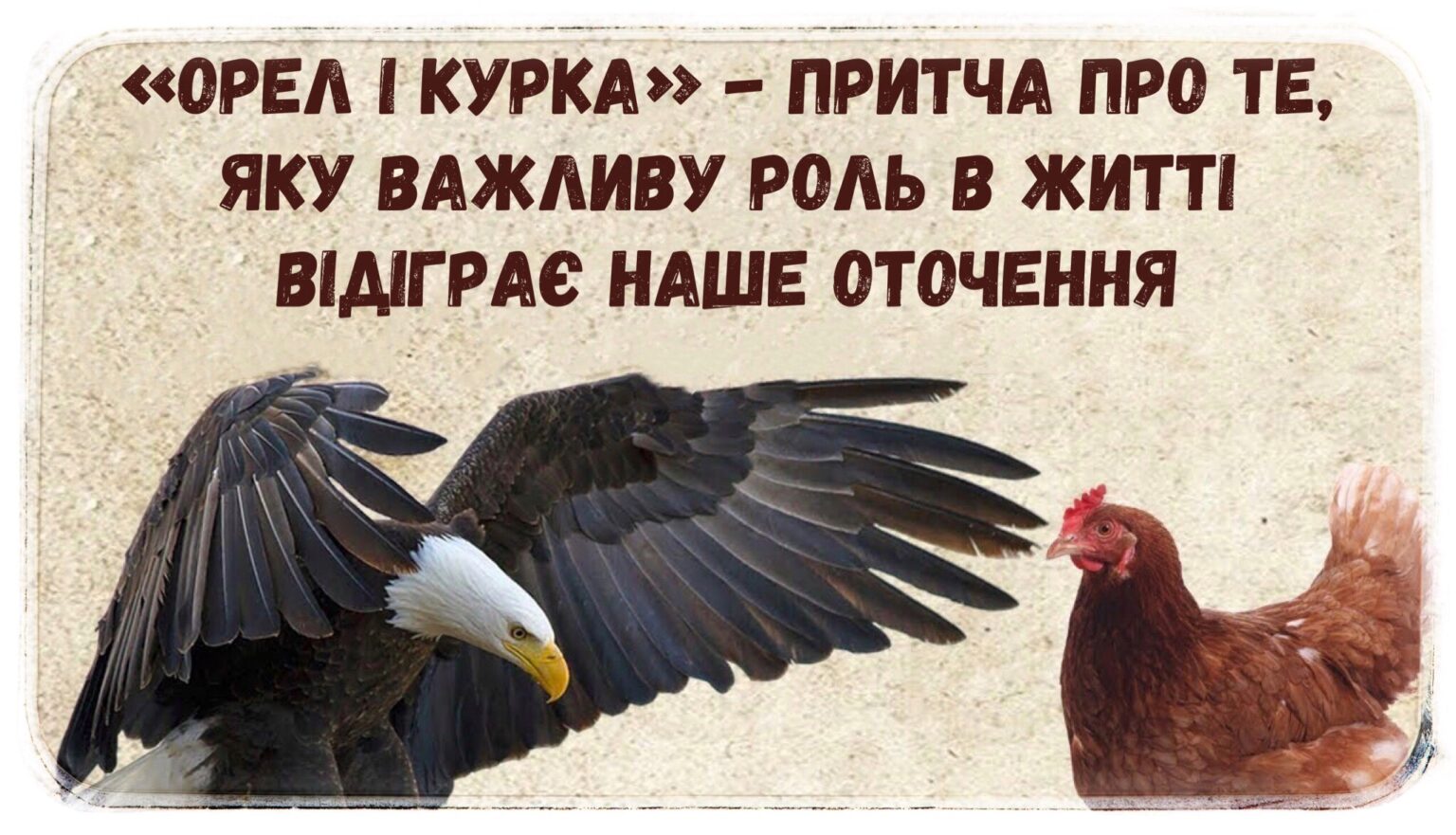 “Орел і курка” – повчальна притча про те, яку важливу роль в житті відіграє наше оточення