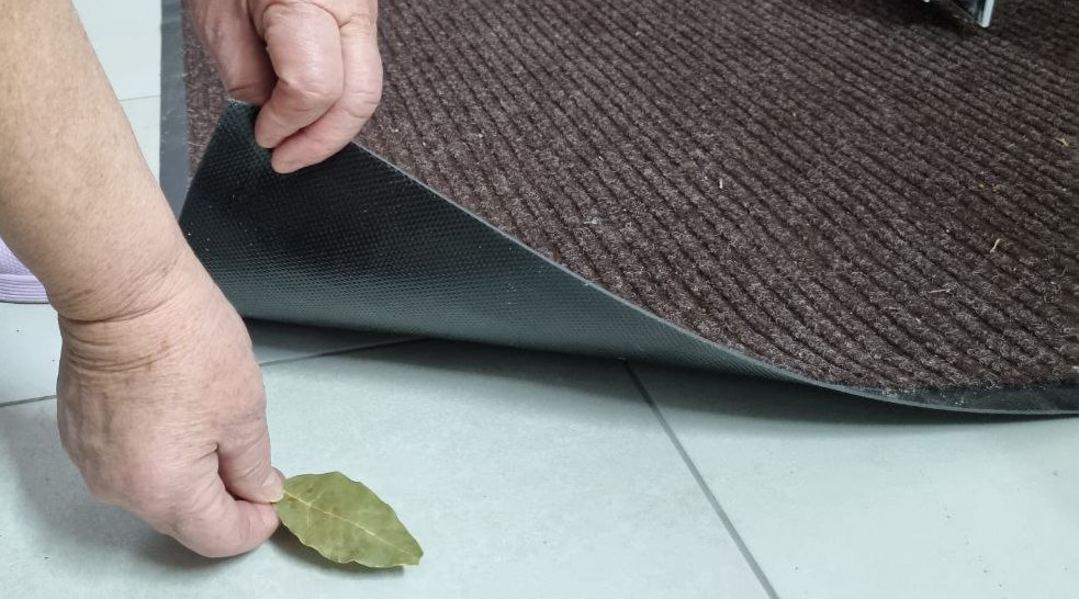 Навіщо класти лавровий лист під придверний килимок, та яких проблем він допомагає позбутися