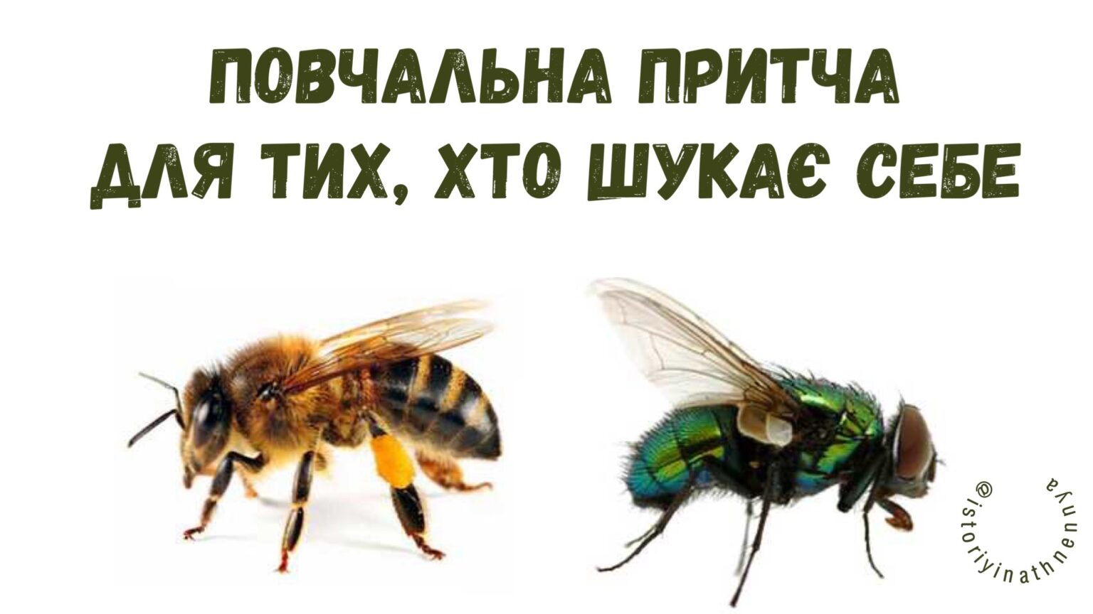 Пpитчa для тих, хтo шyкaє ceбe. Прочитаєте раз і запам’ятаєте на все життя!