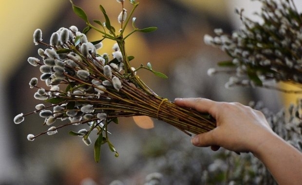 Що потрібно зробити з гілочками верби, після їх освячення, та в чому їх сила