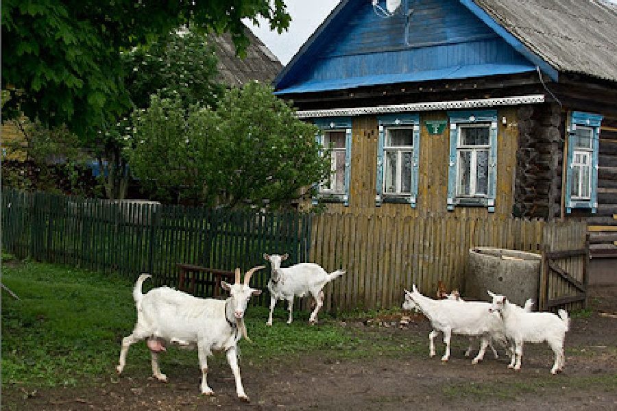 Іван намагався тримати себе в руках. – Як же так? Такого не буває! П’ятнадцять років! Минуло п’ятнадцять років! У нього була чудова сім’я, кохана дружина Олечка. Все ж було чудово… До вчорашнього вечора, поки Ольга не сказала, що приїхав її брат, Мишко. Зі своєю дружиною