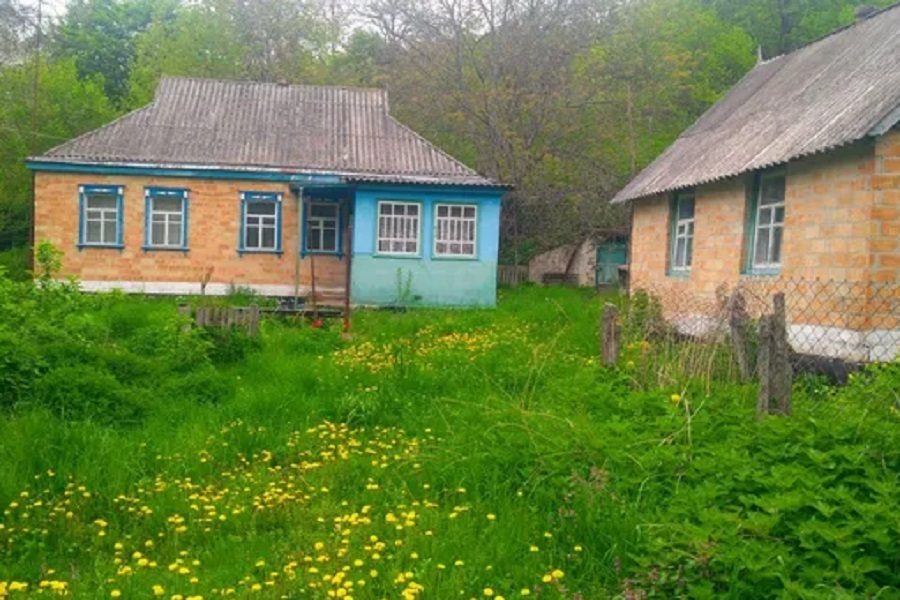 Маша і Діма вирішили похрестити свого сина Іванка. Діма вже почав пропонувати хрещених, аж тут влізла мама Маші. – Ти в моєму домі живеш. Так що не лізь.