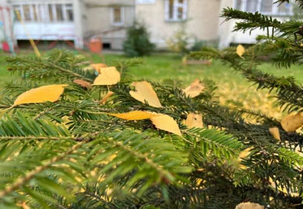 Рік тому я дізналася, що у мого чоловіка є інша жінка. Я відразу почала наполягати на розлученні, адже пробачити зраду я не могла. Дітей у нас поки немає, спільно нажитого майна теж, то ж поки молоді треба було розбігтися і будувати життя заново. Та у справу втрутилися батьки – і мої, і чоловіка