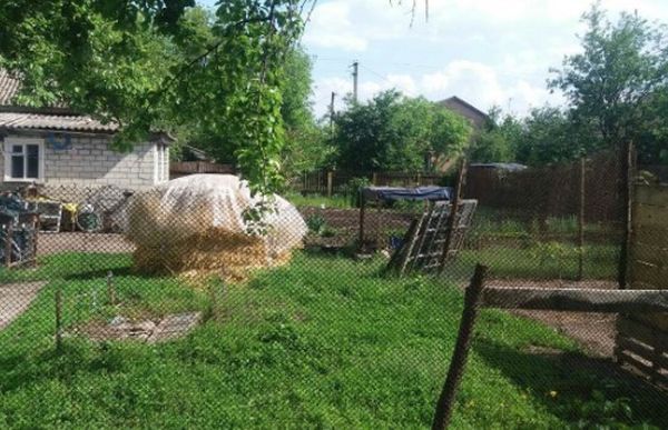 Галина з чоловіком весілля не робили, бо грошей зовсім не було. Так і стали жити на орендованій квартирі. А одного дня до Галини приїхала хрещена мама з села, сказала, щоб вона все кидала і їхала в село, там бабуся і дідусь лежать, їм потрібно допомагати. Галина з чоловіком кинула роботу, взяла двох дітей і поїхала до рідних. Стала стареньких доглядати: купувала молоко та фрукти. Чоловік відремонтував велику хату. А дідусь з бабусею стали вже й на подвір’я самі виходити. Так і гроші відкладені скінчилися. Якось стала Галина помічати, що старенькі сердиті якісь ходять