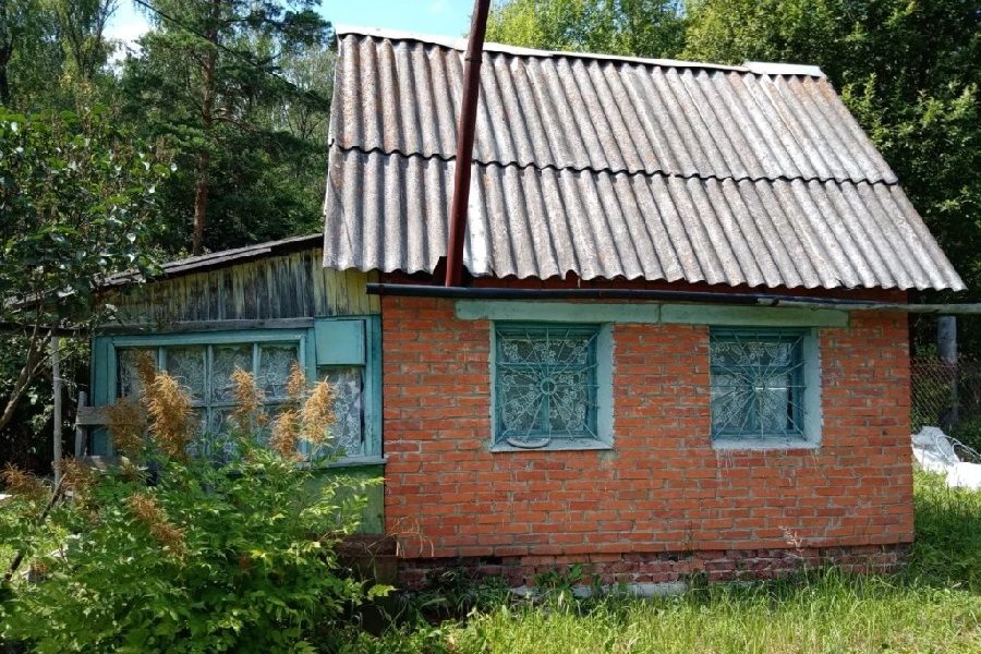 Віра з Іваном були у себе на дачі і тут вони побачили, що по їхньому подвір’ю ходить Василь Петрович, колишній власник ділянки. В руках у нього був невеликий кущик. А що ви тут робите? – запитав Іван. – Калину саджаю. – А яке ви маєте право тут щось садити? – Маю право