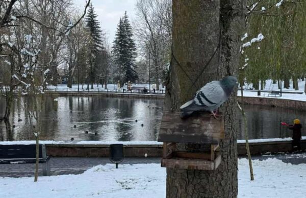 Дочці своїй я нічого не шкодувала, вона могла витрачати мої заробітчанські гроші на все, що їм було потрібно, але в межах розумного, звичайно. Та я сподівалася, що Тетяна розуміє, що я не можу бути вічно заробітчанкою, тому бережно відноситься до грошей. Так я думала, поки не приїхала додому і не побачила, що сховок пустий. Я хотіла дітям сина на Миколая зробити цінні подарунки, адже я їм ніколи нічого не давала. Заглянула у сховок, щоб взяти звідти гроші, і присіла від несподіванки, бо там було всього-навсього 500 євро