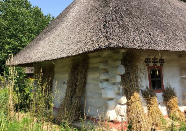 Сусідки порадили батькові терміново одружитися. Не минув і тиждень після маминого похорону, а батько ось він – наречений. Порадили батькові люди посвататися до вчительки, казали, що вона добра жінка