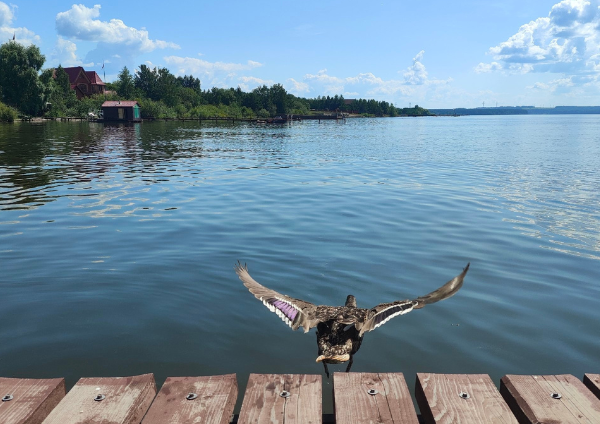 Моя бабуся віддала Богу душу на руках у мами, a мама пішла при мені. Я вийшла на кухню, щоб помити руки, повернулася, a її вже немає. Сподіваюся, що і мені очі закриє хтось рідний