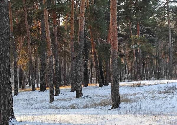 Дякую розлучниці за нове життя…