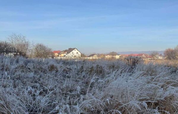 Це треба так умудритися, 12 років провести на заробітках, і навіть воду собі в дім не провести, – каже невістка моєму синові. І говорить вона це про мене, а він мовчить. Так почався у мене ранок першого січня. Я так засмутилася, що словами не передати. Новий рік, сімейне свято, хочеться побути з родиною, а тут таке. Я приїхала з Італії 29-го грудня, на Різдво не встигла, але думала, що хоч Новий рік з дітьми проведу, тому і поїхала до сина, та зараз вже шкодую про це