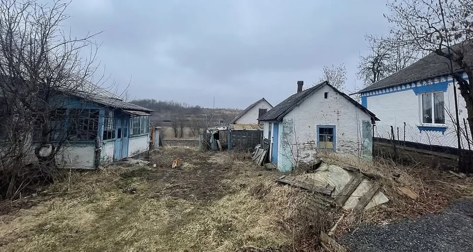 У 17 років я залишилася вагітною вдовою. Мого коханого не стало, а батьки вигнали геть. Я не знала, що робити далі і від кого чекати помочі