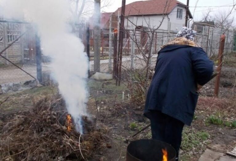 – Що ти за сусідка, що поліцію до мене викликала? – Довго я терпіла витівки баби Ніни, та цьогоріч вирішила її провчити