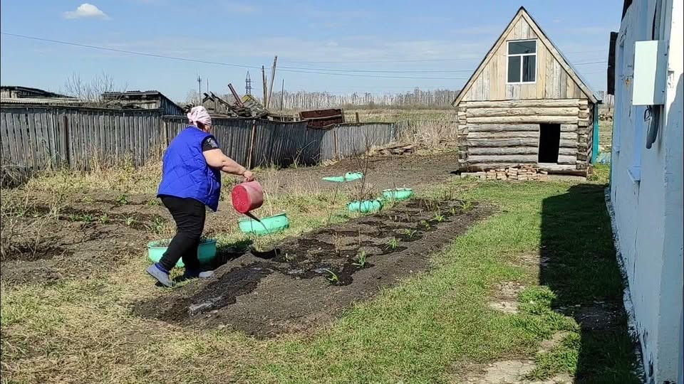 – Лиш треба на город йти, то ти вже ригаєш? Добре собі влаштувалась, нема, що казати! – Невістка наче навмисно пакостить, сил нема терпіти