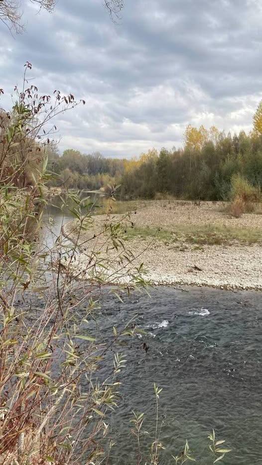 – Олю, ти поспішила з висновками!- Настя просто його знайома і не більше, а ти все неправильно зрозуміла. Він тебе дуже кохає, і зараз потребує твоєї підтримки! – Переконувала мене свекруха