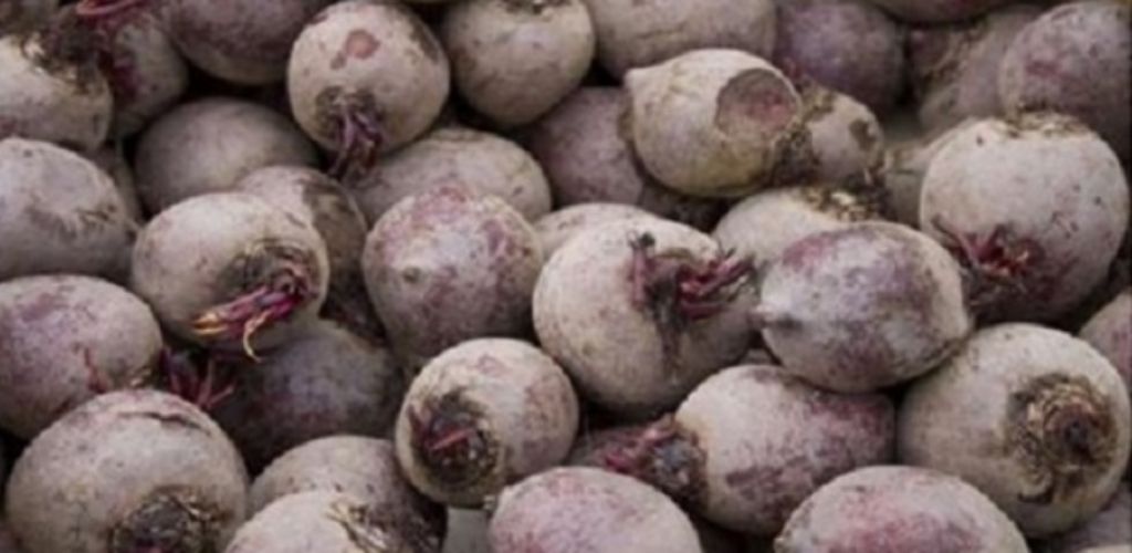 Мені 60 років: ця рослина повернула мені зір, видалила жир з моєї печінки та повністю очистила товсту кишку!