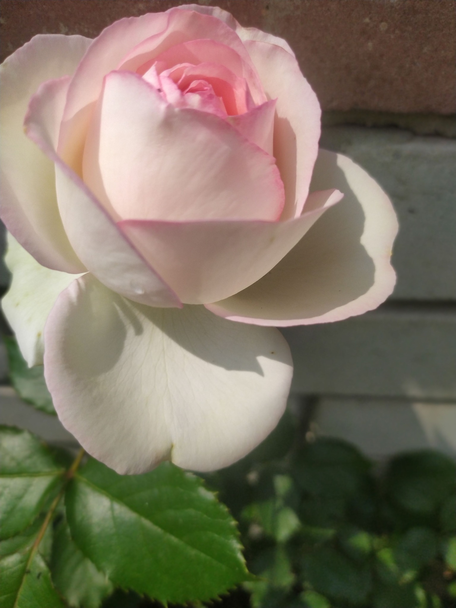 – З чого раптом я буду дошлюбну квартиру продавати, та ще й грішми ділитися? – Обурилася невістка