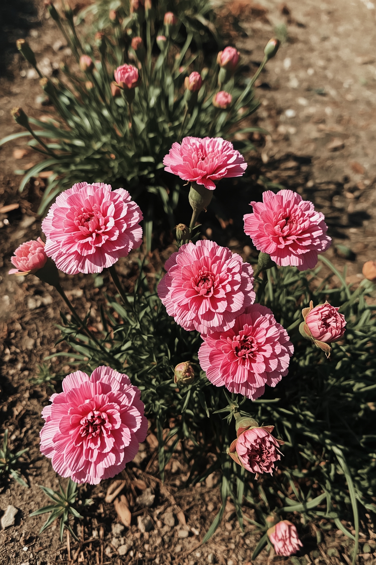 Віро, ти ж дома з дитиною, то сходи за хлібом. – Віро, треба гроші на ремонт – ти ж маєш ту “заначку”? – Віро, ти бухгалтер, дай гроші на машину. Чоловік чомусь вирішив, що якщо дружина добре заробляє, то саме вона має тягти фінансову сторону сімʼї, а він особливо не перепрацьовувався, а те, що заробляв, як правило, витрачав на себе. Дім, дитина, сімейні витрати – усе це було на Вірі, бо вона – сильна, бо вона – все може