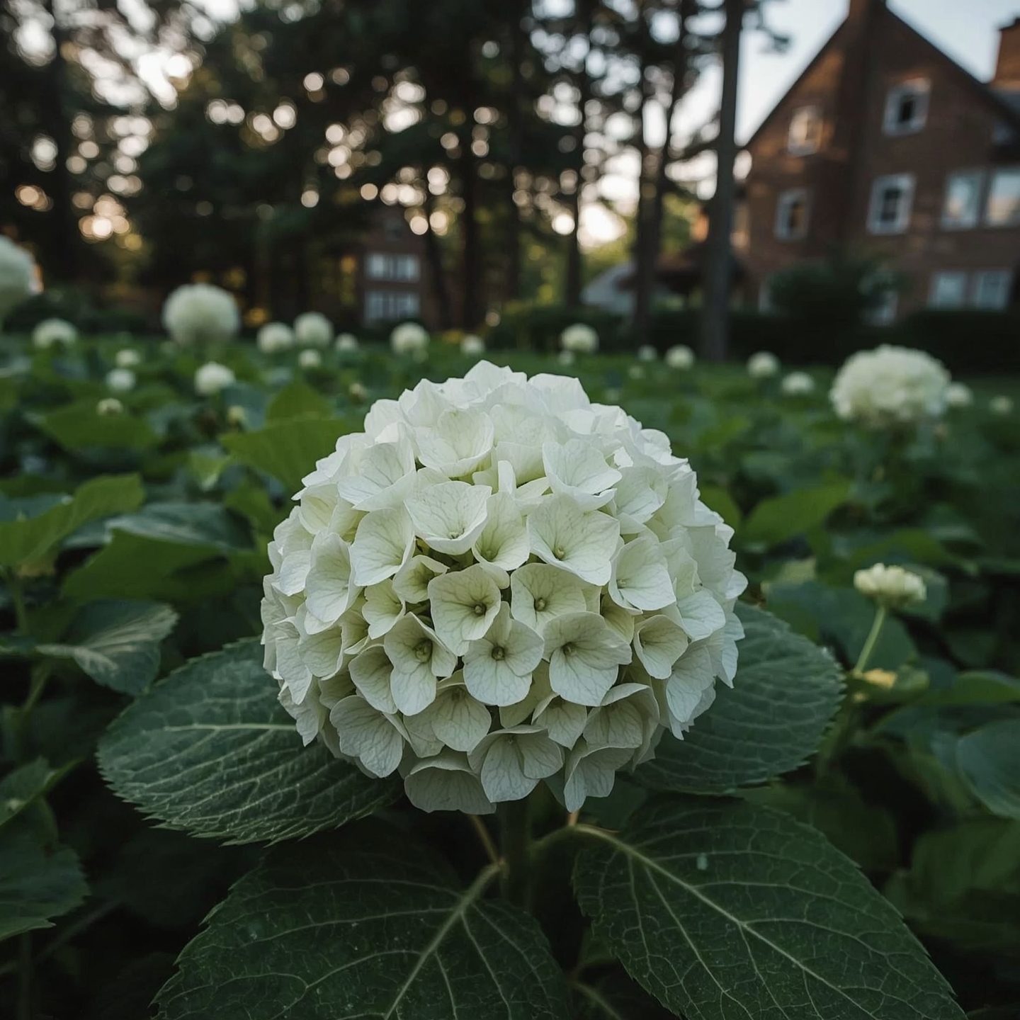 Ми святкували 18-річчя мого сина, я була щаслива, що все так добре склалося. Мій чоловік сам запропонував належним чином відсвяткувати цю дату, я ще тоді здивувалася, але підтримала цю його ініціативу. Звідки ж я знала, що після гучного свята з подарунками і гарними словами, відразу на наступний день мій чоловік заявить, що Максим уже повнолітній і має жити окремо