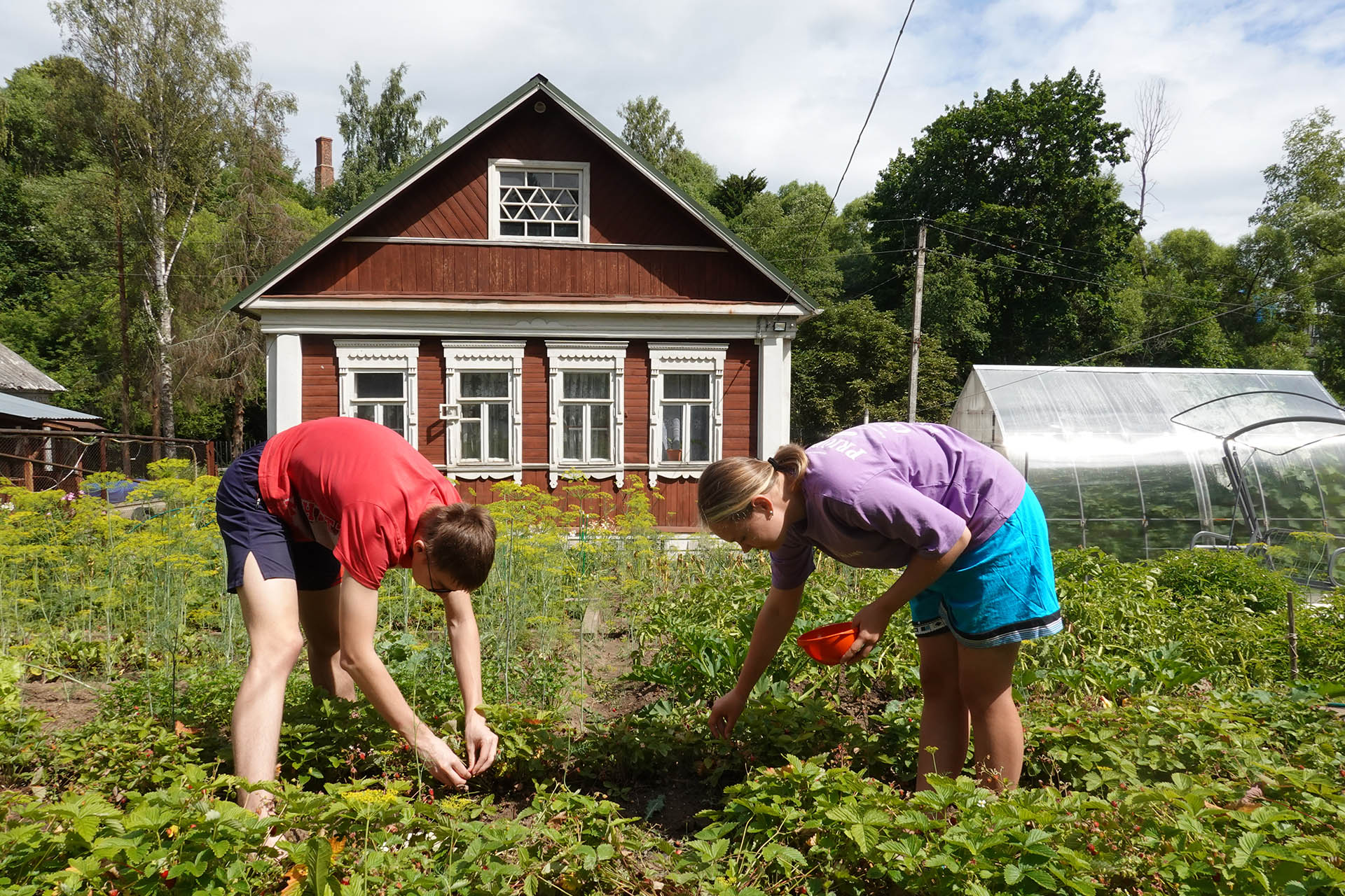 – Ви, мамо, по курортах роз’їжджаєте, а город бур’янами заріс, нас скоро люди засміють, – в’їдливо сказала невістка.  Тетяна Андріївна подивилася у вікно, а Соломія продовжувала: –Якщо іще колись надумаєте їхати на курорт, то знайте: увесь город буде необсапаний. Та й чи взагалі вам потрібно їздити в такому віці, не молоді ж уже. А надвечір село облетіла новина – не стало Тетяни Андріївни