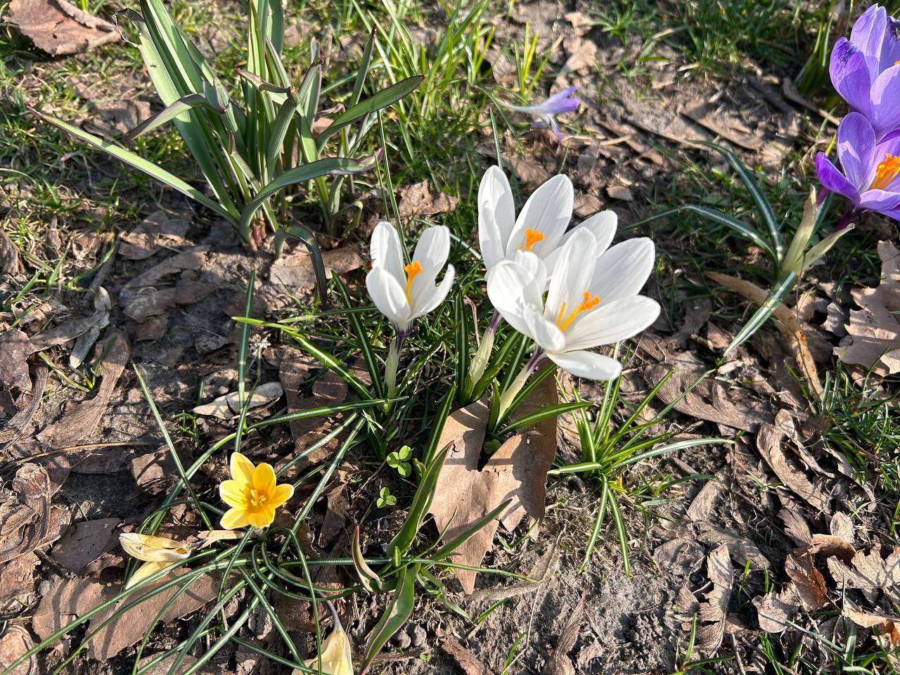 У 20 років я вийшла заміж, батько зіграв весілля і допоміг з житлом, вчив мене теж батько і допомагали бабуся з дідусем по батькові, бабуся з дідусем були золотими людьми