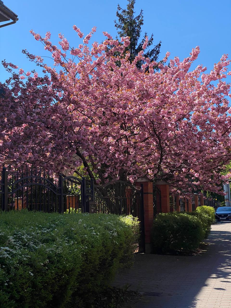 – Переходимо на окремий бюджет. Кожен платить за себе. Набридло! – Гаркнув чоловік на дружину