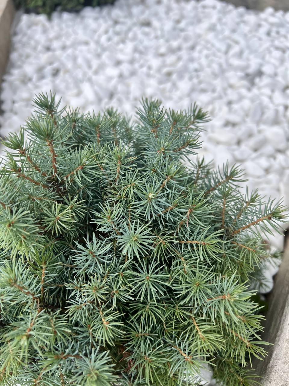 Впорається? З двома дітьми, кредитом на квартиру і зарплатою виховательки у дитячому садку?