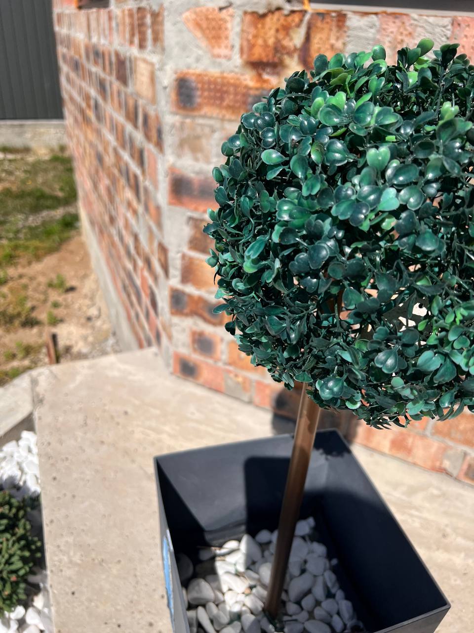 – Здоровий лівак зміцнює шлюб, – реготав Антон, вважаючи це справжньою мудрістю. Ще й надто дотепною! Але він, ох як помилявся…