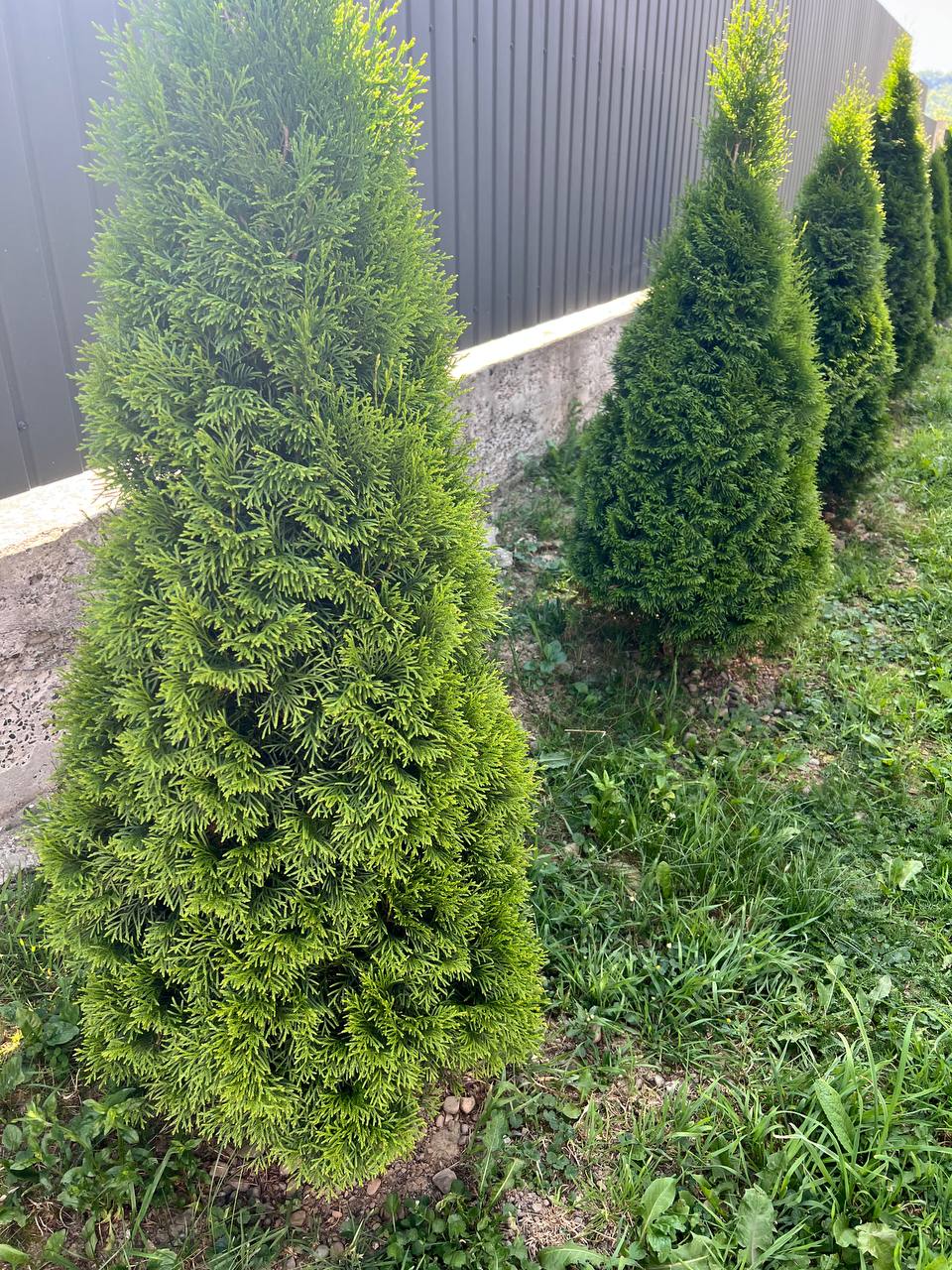 – Катю, ти старша, ти маєш бути розумнішою! Наталя твоя сестра, ти не можеш її кинути напризволяще! – А ти можеш? Вона ж твоя улюблена донька! Забирай, та забезпечуй! – Відрізала Катя