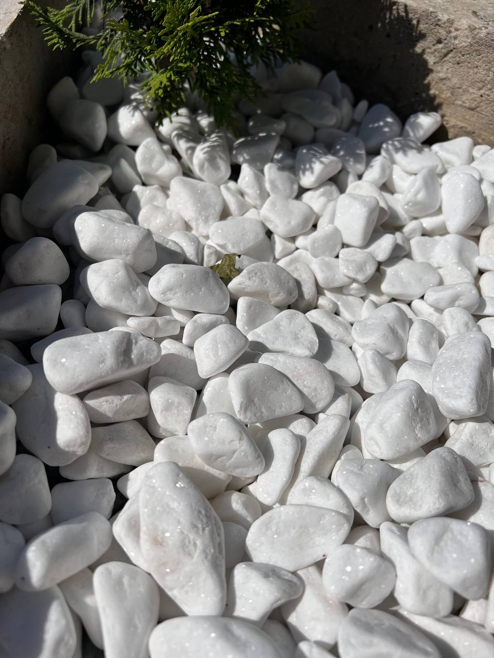 – До чого мене життя довело. Квартиру цю, мабуть, скоро заберуть. За борги. Усі гроші, які були, пішли на процедури. Всім винен. Роботи немає. Як жити не знаю