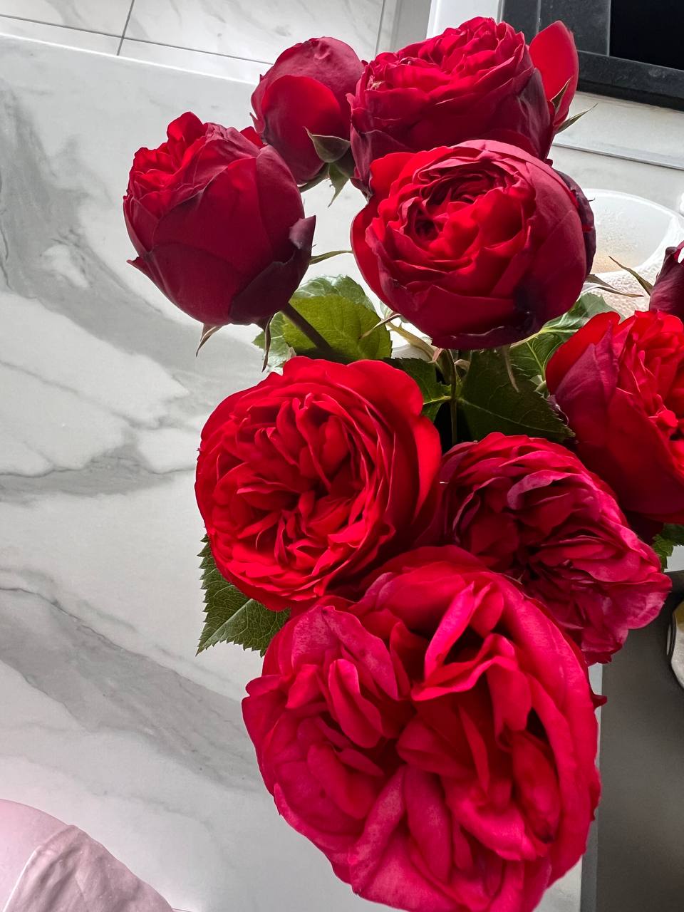 Ти завжди була впертою, але зараз не час. Світлано, хіба ти сама не розумієш, що ти маєш переїхати до батька, бо йому потрібно, щоб зараз хтось був поруч? – каже мені мій рідний брат Святослав. Я на кухні мила посуд. Люди вже розійшлися після поминального обіду за нашою мамою, а мій брат вирішив, що зараз чудова нагода нам поспілкуватися, а якщо точніше, то він захотів вирішити всі проблеми моїми руками. З братом у нас давно стосунки ніякі, я з ним вже довший час не бачилася і не спілкувалася, як і з батьками, хоч і живемо ми в одному місті. Справа в тому, що мій брат завжди був любимчиком батьків, і через нього не любили мене