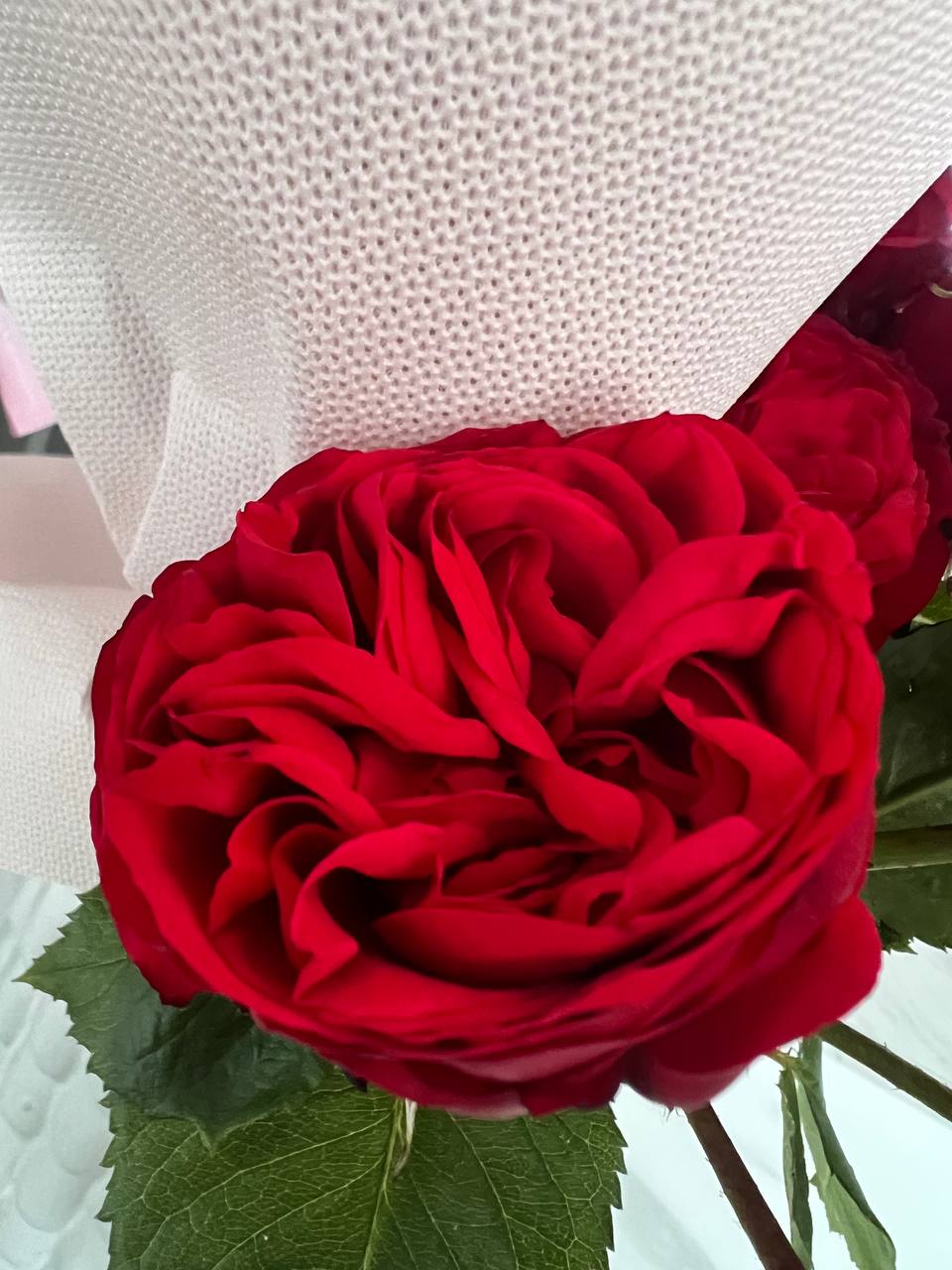 Вибач, мамо, я такий… не можу себе пробачити… Як подумаю, моя маленька мама, одна у великому місті, з малюком на руках, вибач, мамо