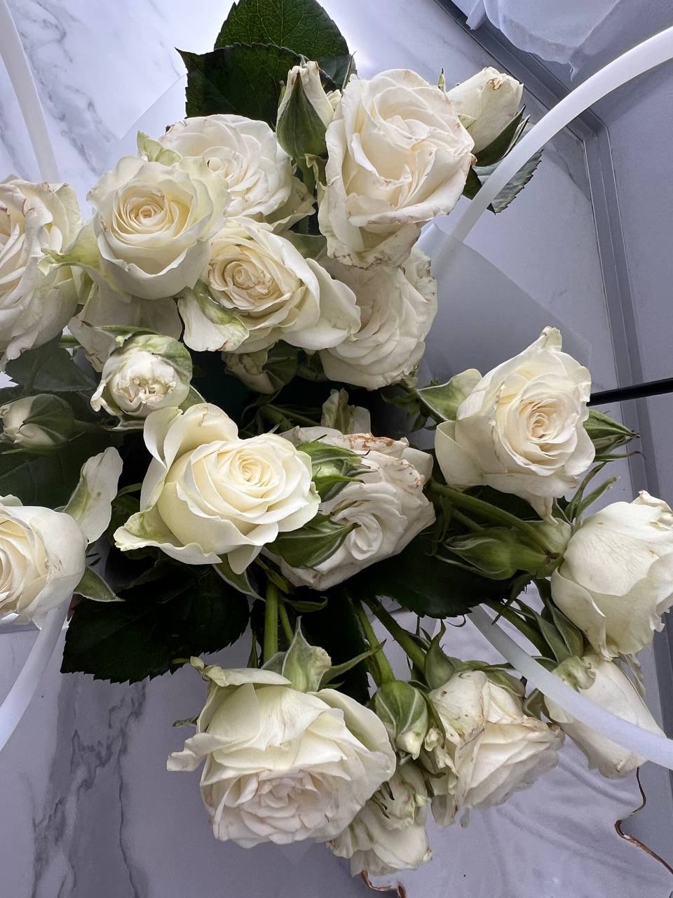 -Ти одна, тобі влаштуватись легше, – сказала мама молодшій доньці, та випхала її з дому