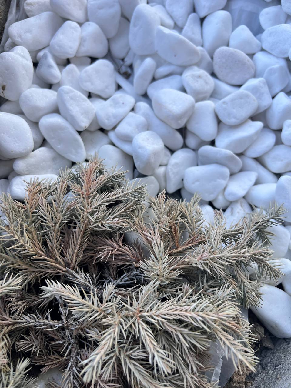 – Я своє не віддам. Двадцять років – це моє, розумієш? Двадцять років… А ти… ти просто зіскочила на чужий поїзд. Але це не твій маршрут. Не твоя станція