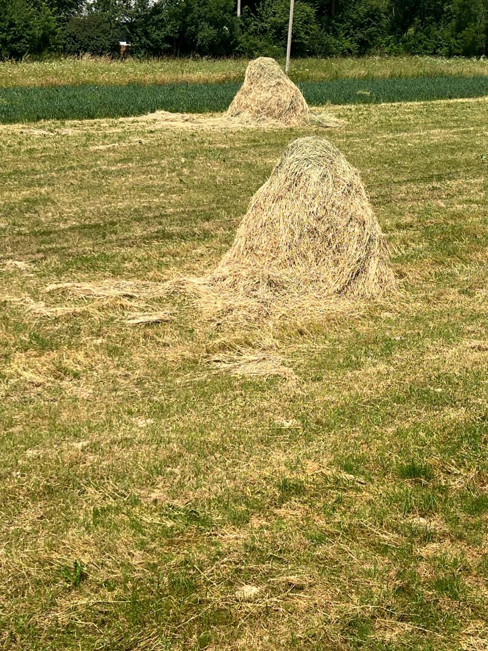 – У цьому вбранні, та на підборах, ти маєш безглуздий вигляд! Час тобі худнути, – Володимир сказав ці слова так, ніби оголошував їй вирок.- На підборах ти – як корова на ковзанці! – вигукнув він. – Ні, люба, сьогодні ти залишаєшся вдома! Ніякого корпоративу
