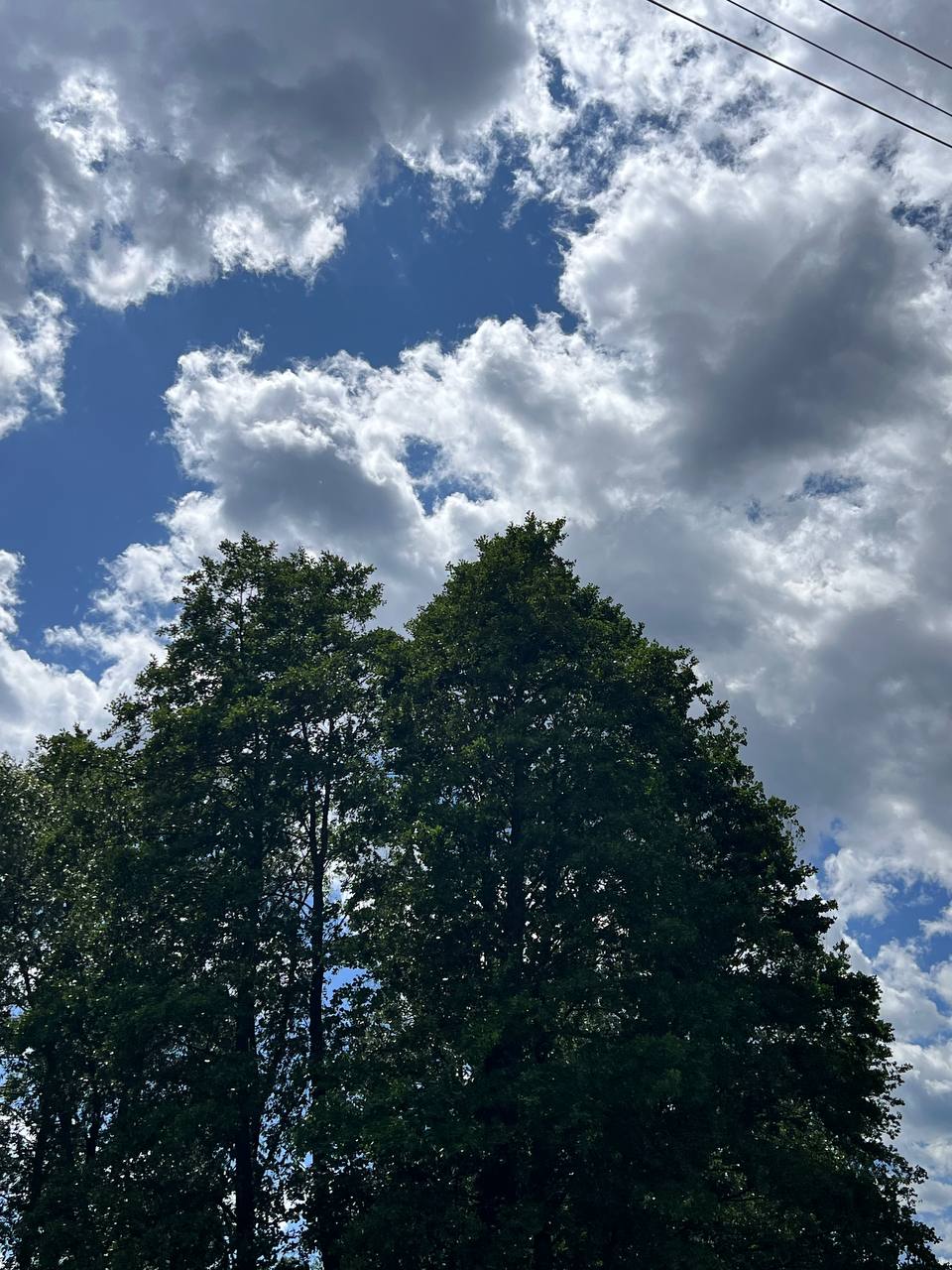 – Ти мені сотню разів обіцяв, але гроші на кредит так і не вислав. Машина в тебе. З якого дива я мала гасити борг сама