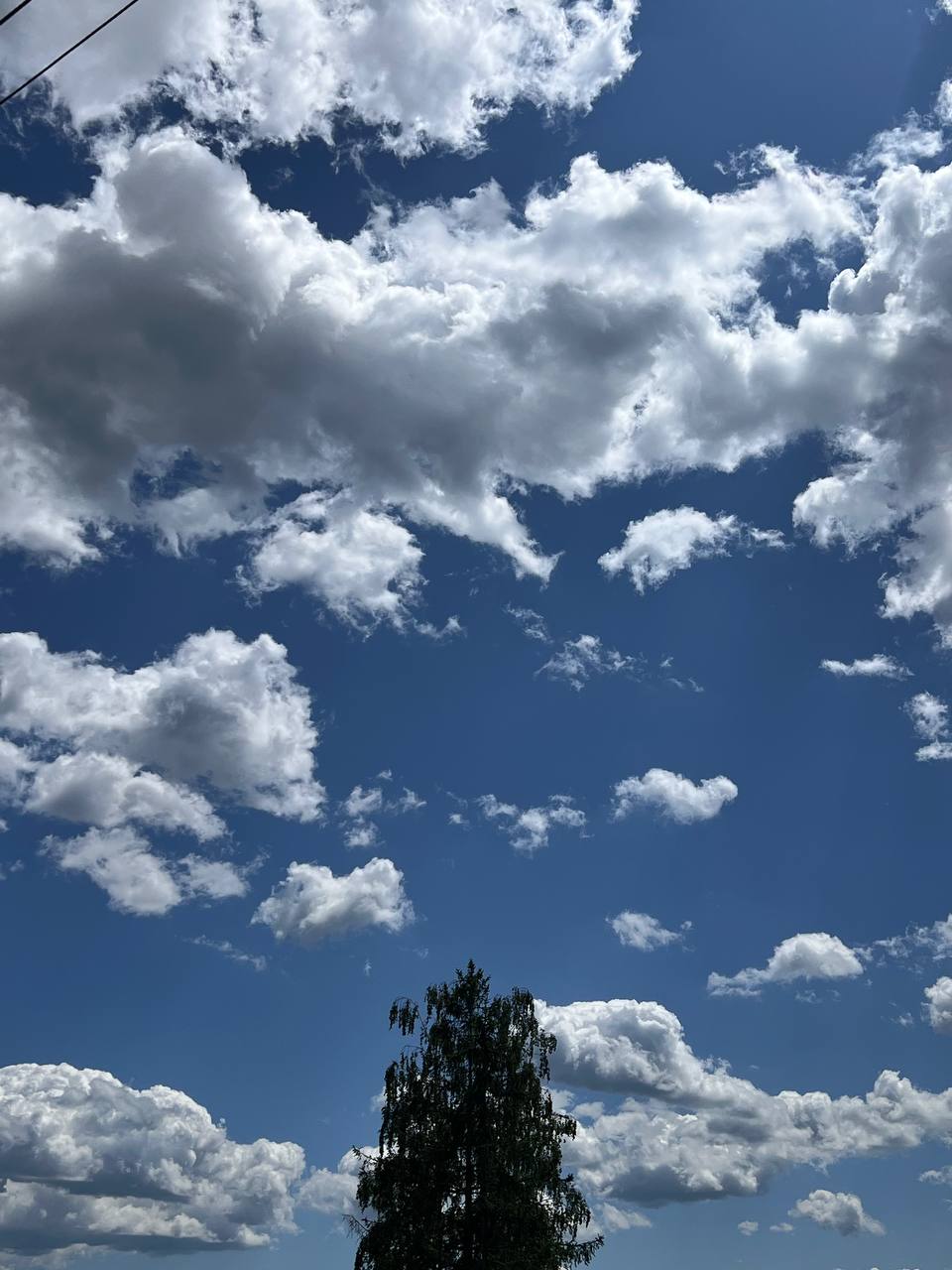 – Ну нарешті збагрили стареньку. Набридла вона вже у своїх коричневих в’язанках і стоптаних туфлях. Тепер Ніночка її місце займе. Пам’ятаєш, приходила до начальника на співбесіду? Говорять, його пасія