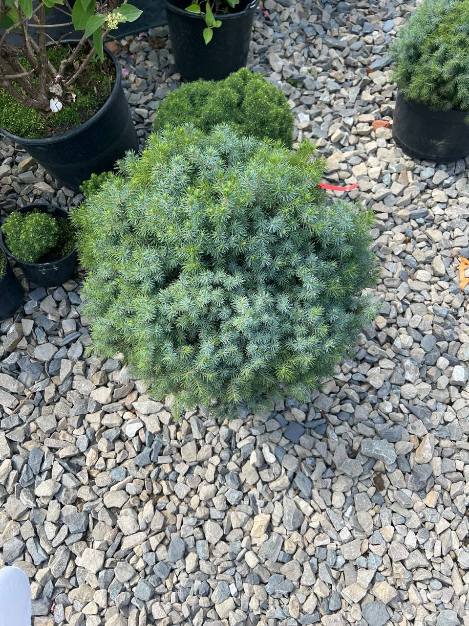 Маріє, ви там на місці, то замовте для нас столик на неділю, десь приблизно на 10 осіб, – каже мені сваха, яка вирішила святкувати ювілей свого чоловіка у нас в селі. Ідея святкувати у нас мені, в принципі, сподобалася, бо в мене є де усім заночувати. А в сватів невелика двокімнатна квартира, там нема де на ніч залишитися. Я все зробила так, як сваха хотіла – пішла в ресторан, замовила столик на 10 осіб. Мене попередили, що місце буде приблизно коштувати півтора тисячі гривень, сказали дати завдаток, хоча б дві тисячі. Я порадилася в телефонному режимі з свахою, розповіла їй що і до чого, вона дала добро і я все замовила. Завдаток я з свого гаманця дала, без задньої думки, адже ж не з чужими людьми я справу маю, звідки ж я знала, що все так обернеться